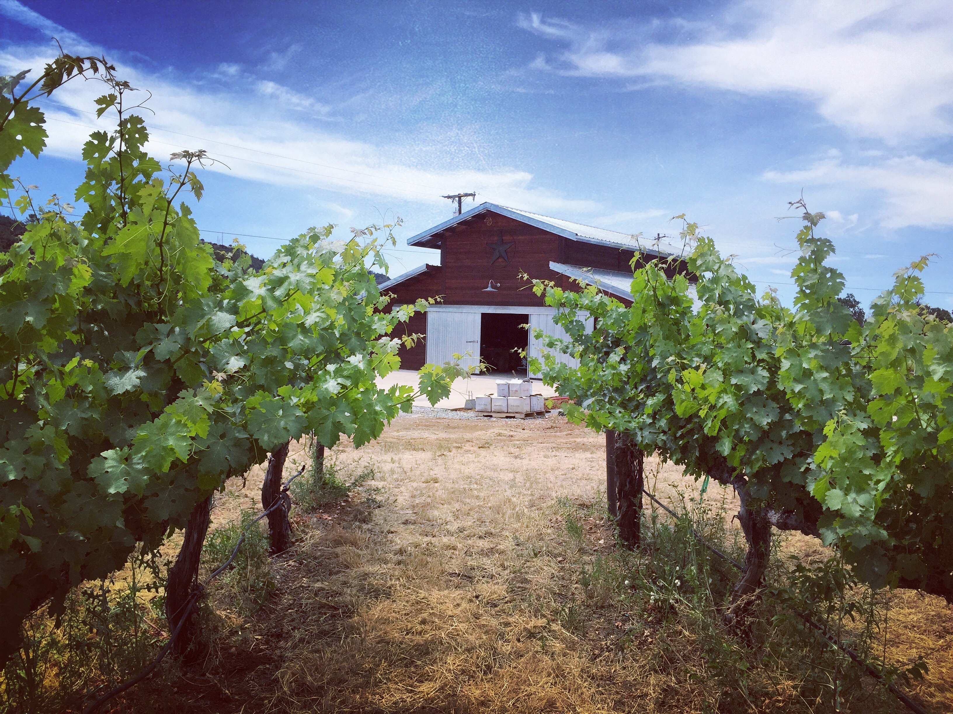 Product Image for Winery Picnic